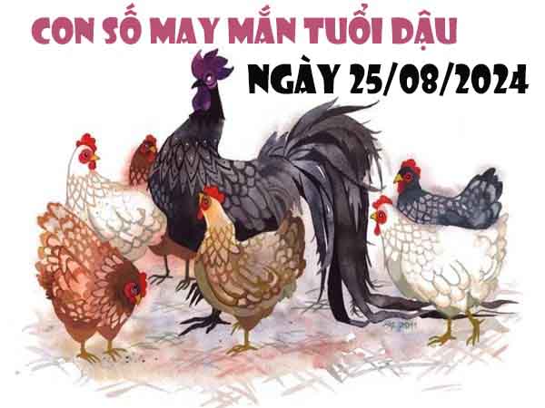 Phân tích con số may mắn tuổi Dậu ngày 25/8/2024 chủ nhật hôm nay