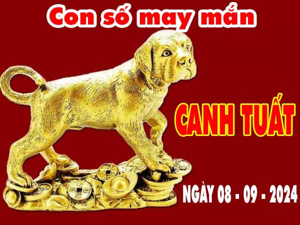 Phân tích con số may mắn tuổi Canh Tuất ngày 8/9/2024 chủ nhật hôm nay