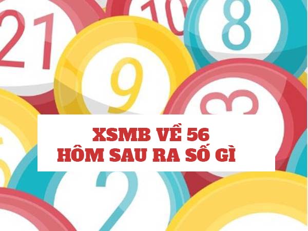 Thống kê XSMB về 56 hôm sau ra số gì? Bí kíp chọn loto đẹp