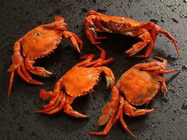Biểu tượng của con cua trong tâm linh và phong thủy