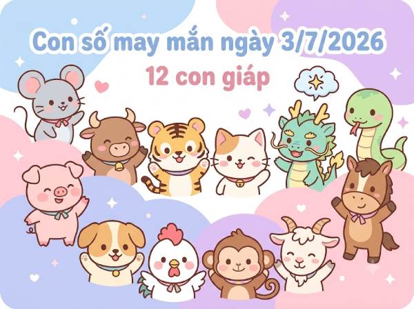 Luận giải con số may mắn 12 con giáp ngày 03/07 hôm nay miễn phí